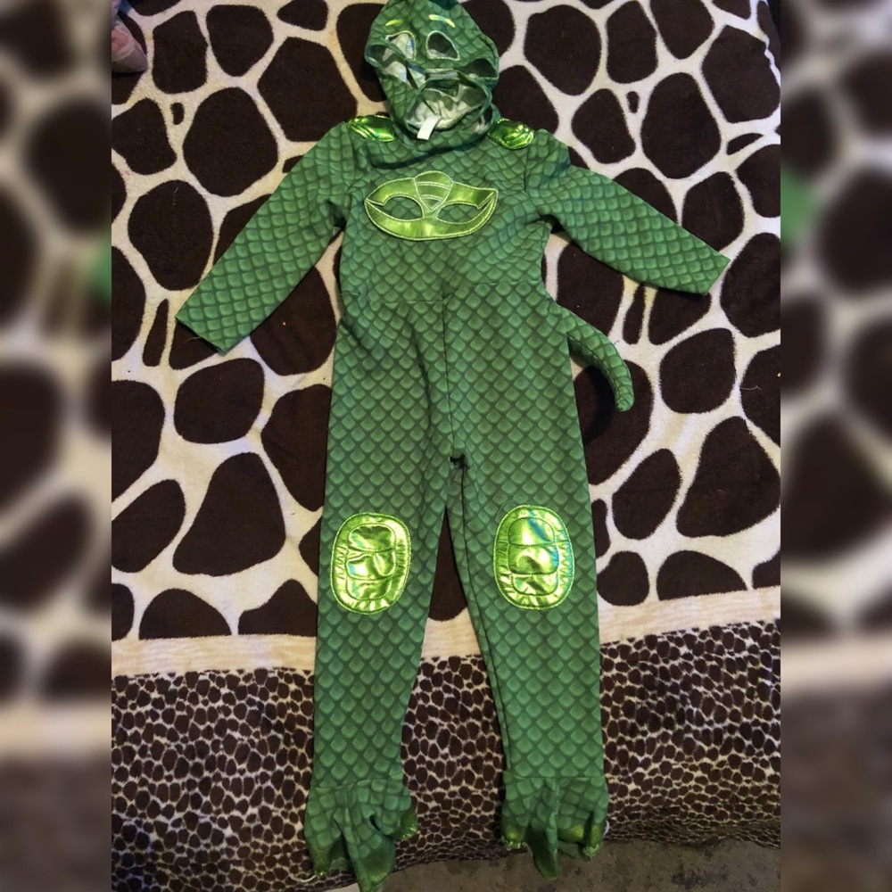 Pj mask costume